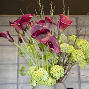 Red callas in floral arrangement