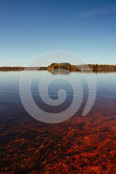 Red, calm lake and distant forest