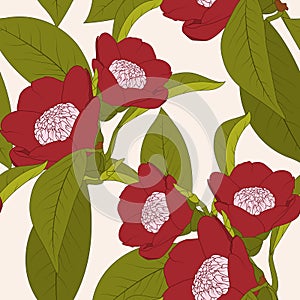 Red camellia flower plant with leaves outline on beige background. Natural floral seamless pattern texture.