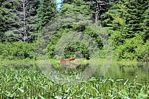 Red Canoe banked on the river