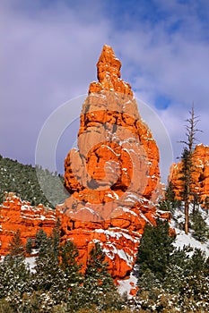 Red Canyon in Dixie National Forest photo