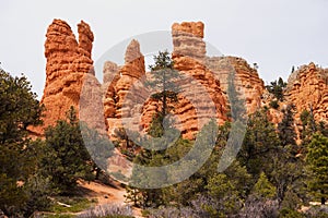 Red Canyon in Dixie National Forest photo