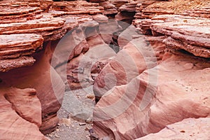 The Red Canyon - Guy Shani