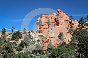 Red Canyon Rocks in Utah