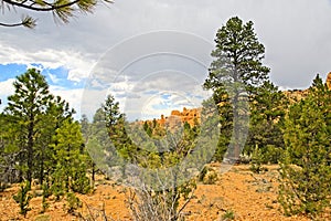 Red Canyon, Utah: The Magnificent Portal to Bryce Canyon