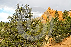 Red Canyon, Utah: The Magnificent Portal to Bryce Canyon