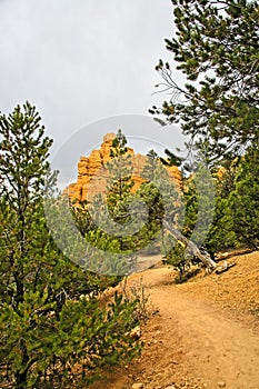 Red Canyon, Utah: The Magnificent Portal to Bryce Canyon