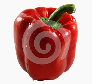 Red Capsicum photo