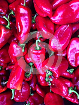 Red capsicum