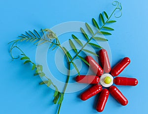 Red capsules are laid out in the form of a flowering plant on a blue background. To close. A conceptual image of plant-based food photo