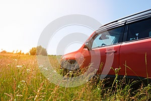 Red car parked in a field on a country road in green grass. Transport, travel concept