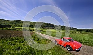 Red Car On Rural