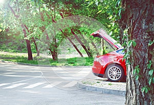 Red car among trees  in nature