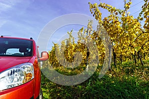 Red car in yellow vineyard, Alsace
