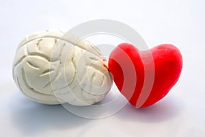 Red card heart shape and figure of human brain standing next to next to each other on white background. Connection heart and brain