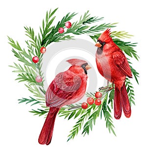 Red cardinal, Christmas wreath with birds on a white background, watercolor drawings
