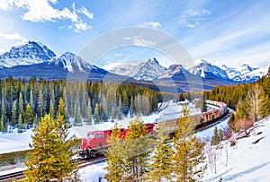 Red cargo train passing through Morant's Curve in the Canadian Rockies of Banff in beautiful snowy winter landscape