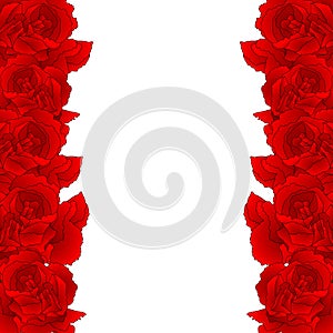 Red Carnation Flower Border, Dianthus caryophyllus - Clove Pink. National flower of Spain, Monaco, and Slovenia. Vector photo