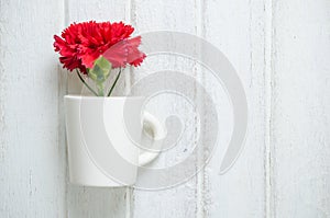 Red Carnation flower in a cup