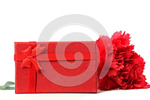 Red carnation with gift box