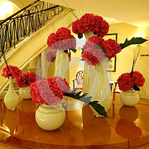 Red Carnation in white vases 