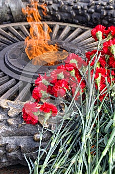 Red carnations and eternal flame