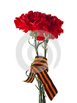 Red carnations with ribbon isolated on white background