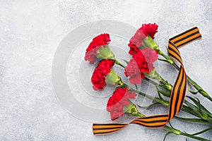 Red carnations and St. George ribbon on a concrete background. Symbol may 9, victory day Copy space