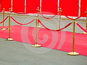 Red carpet entrance with golden stanchions and ropes. Celebrity nominees to premiere. Stars on the festive awarding of prizes