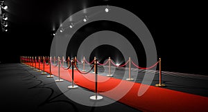 red carpet event entrance with velvet ropes