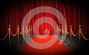Red carpet and gold barriers with red rope