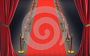 Red carpet and gold barriers with red rope