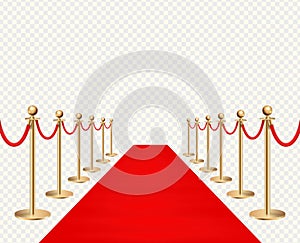 Red carpet and golden barriers realistic isolated on transparent background. Vector