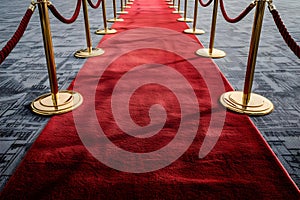 Red carpet with golden barriers and ropes for VIPs at events. Concept Event Planning, VIP