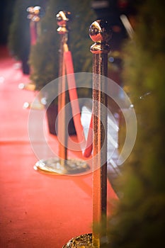 Red carpet - is traditionally used to mark the route taken by heads of state on ceremonial and formal occasions