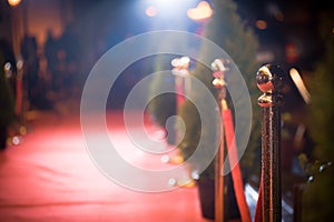 Red carpet - is traditionally used to mark the route taken by heads of state on ceremonial and formal occasions