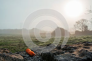 Red carrot on a stone fence to feed horses. Empty field in a mist. Selective focus. Nature scene at sun rise in a fog