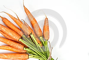 Red carrot on white background.