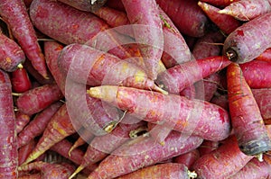 Red carrots piled for market closeup