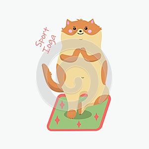 Red cartoon cat on green mat in yoga position.
