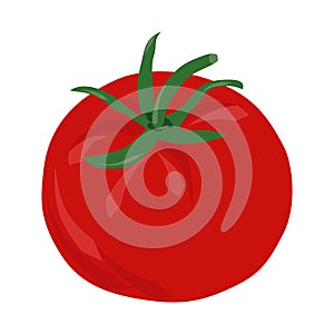 Red cartoon tomato with green leaves fruit symbol