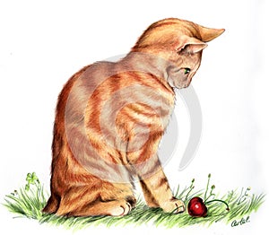 Red cat artwork