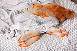 Red cat on bed of young couple in bedroom