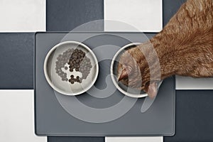 Cat eating wet food beside a food bowl with dry food, seen directly from above.