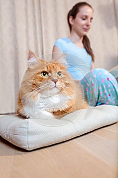 Red cat lies on a pillow on the floor next to his mistress. cat comes to a woman while she reads on the floor. Girl and cat are