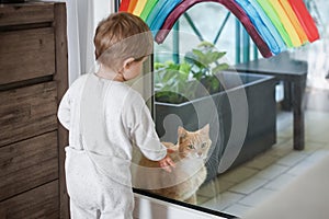 A red cat sits on the balcony during quarantine and the child wants to play with him. Rainbow on the window