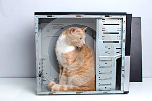 Red cat sits inside an empty computer case
