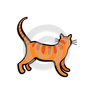 Red cat with stripes illustration on white background