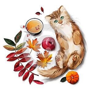 Red cat, tea, apple and autumn leaves. Watercolor painting