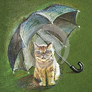 Red cat under the umbrella